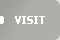 visit