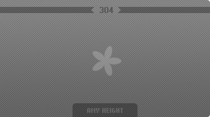 304 px image